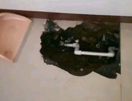 北仑卫生间测漏水多少钱